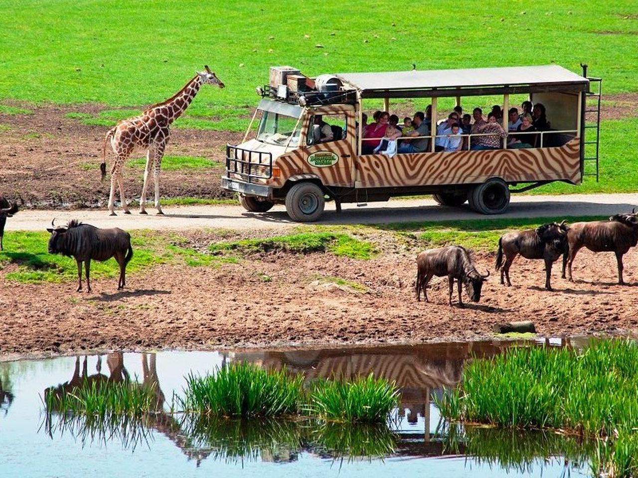 Achtung Wild! mit Serengetipark (2 N, HP, Eintritt)