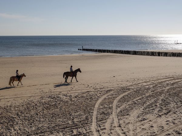 Küstenzauber an der niederländischen Nordsee – 6 Tage Fletcher Zuiderduin Beach Hotel in Westkapelle, Zeeland inkl. Halbpension