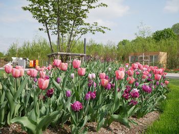 Familienausflug zum Wildpark Poing