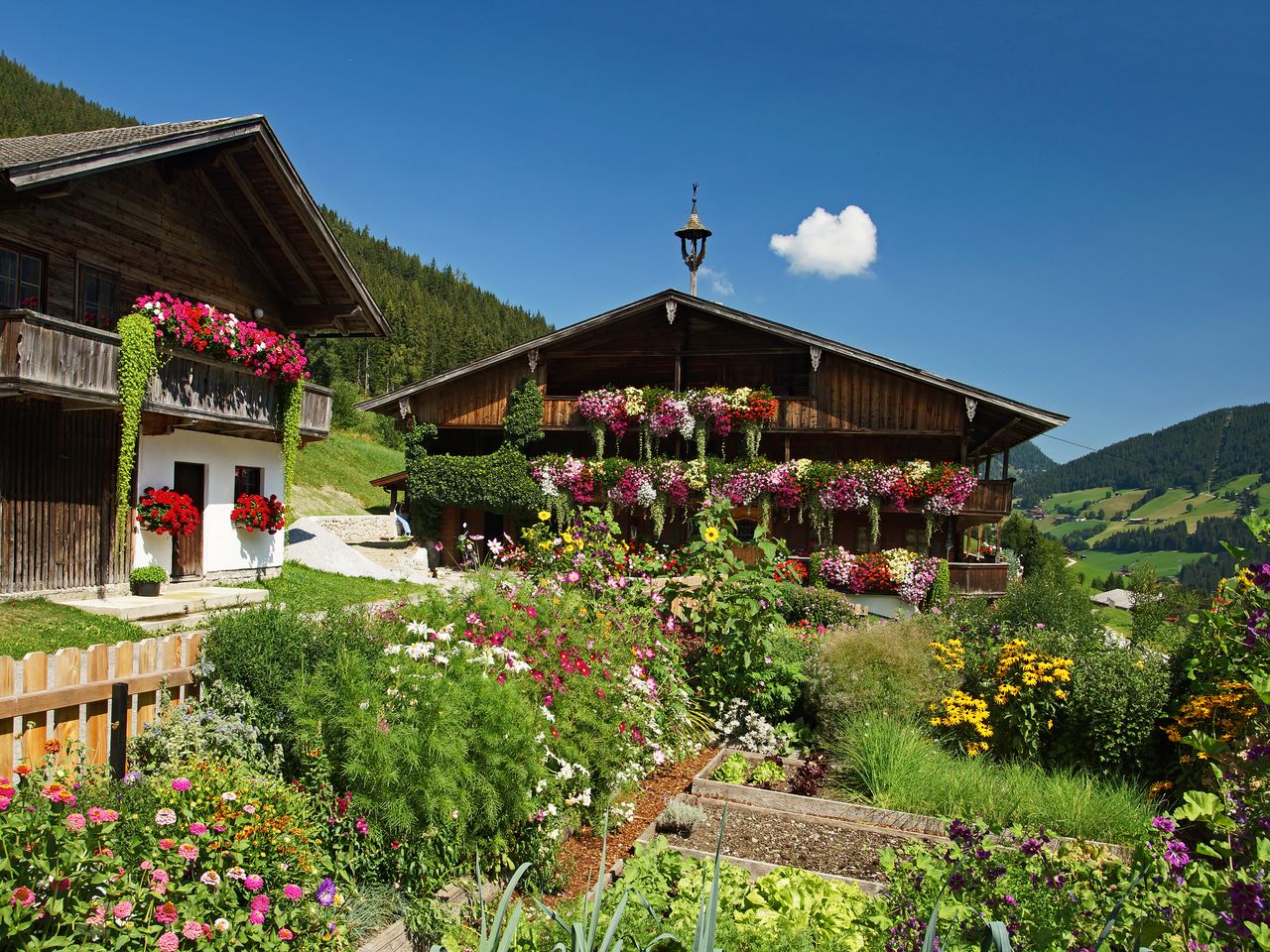 7 Tage Wellness im Zillertal - mit AI