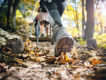 4 Tage Wandern im schönen rheinischen Schiefergebirge