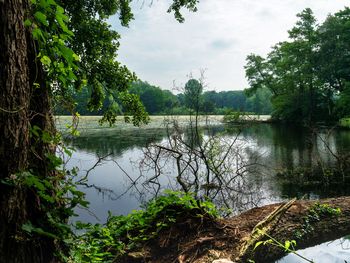 3 Tage Wandern im Naturpark Hohe Mark am Niederrhein