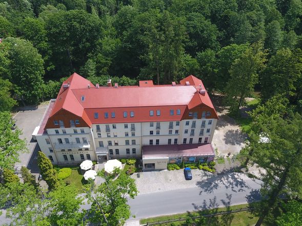 Hotel  Spa Dvor Elizy