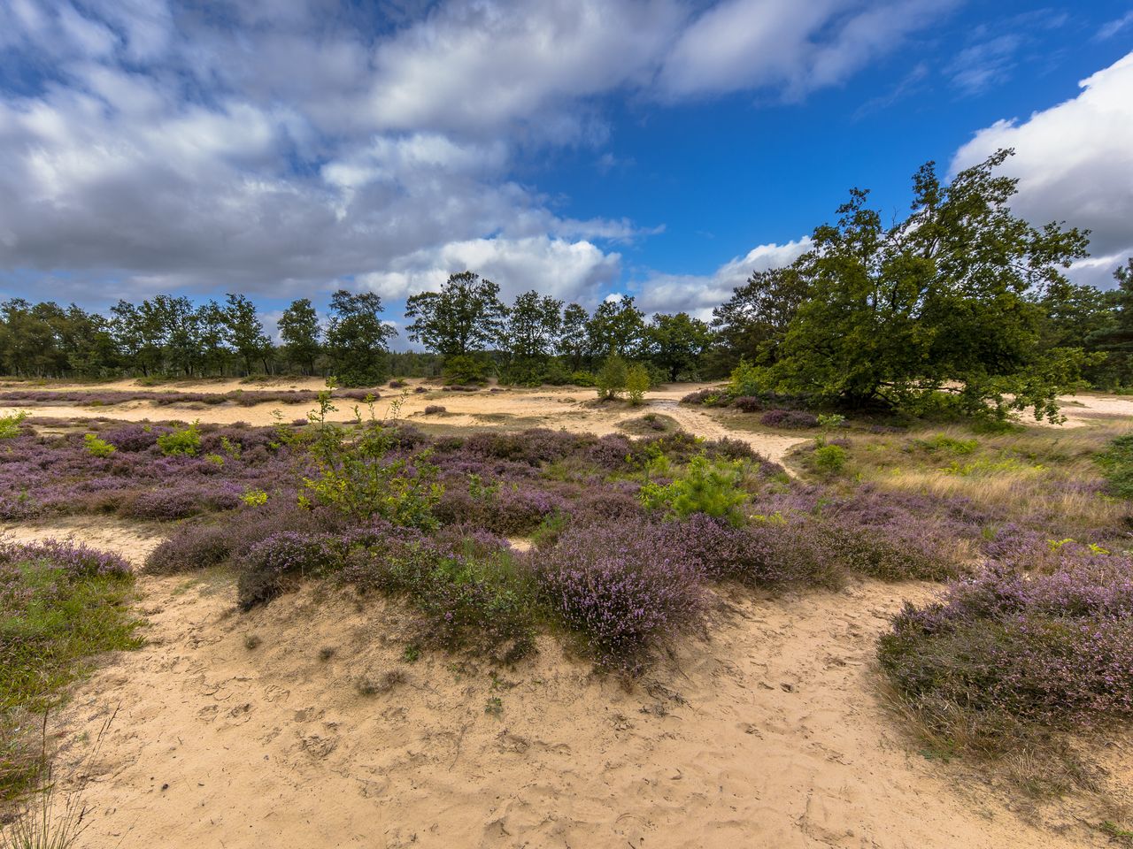 5 Tage im Paradies für Naturliebhaber & Ruhesuchende