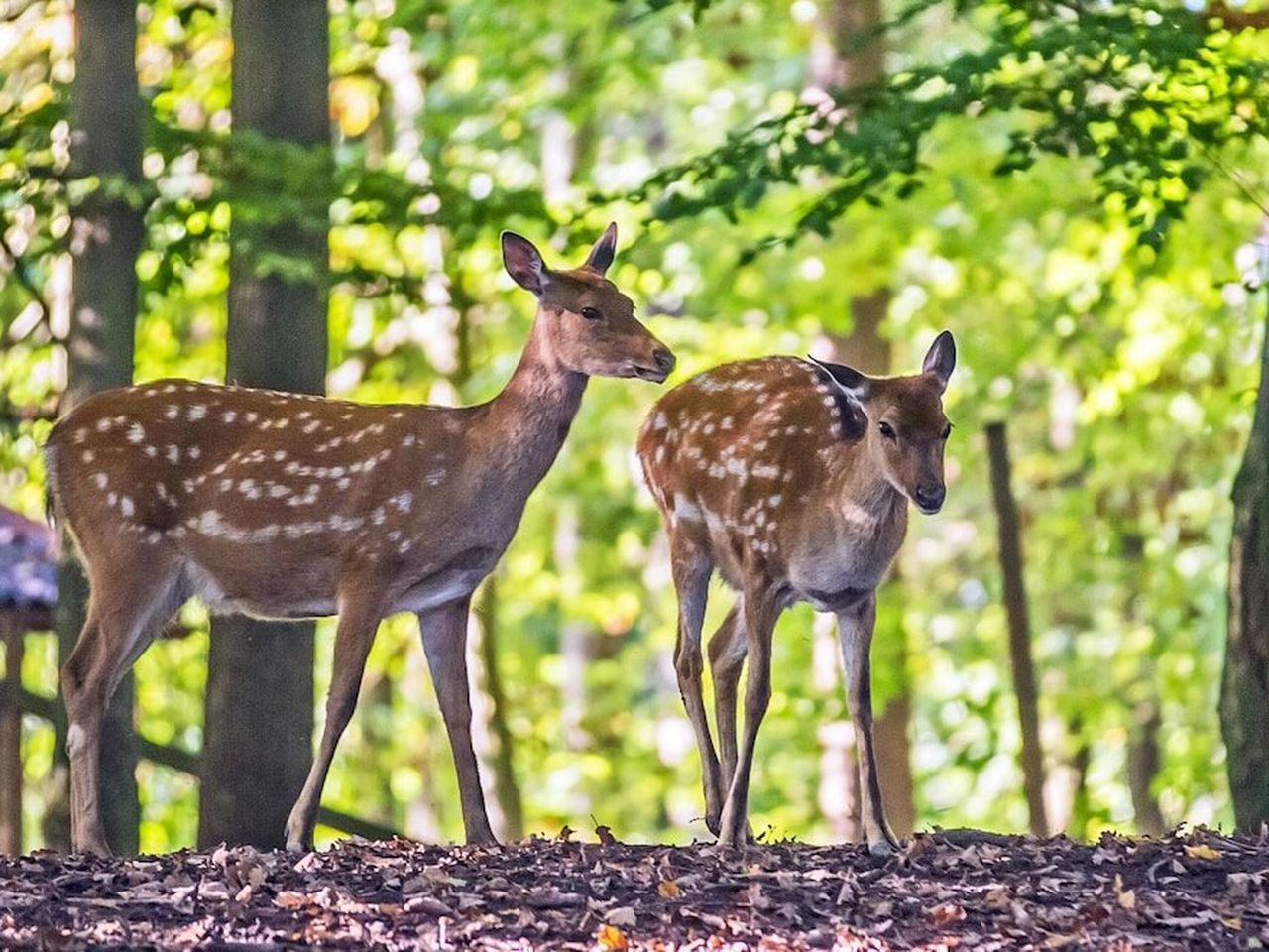 6 abenteuerliche Tage in der Natur