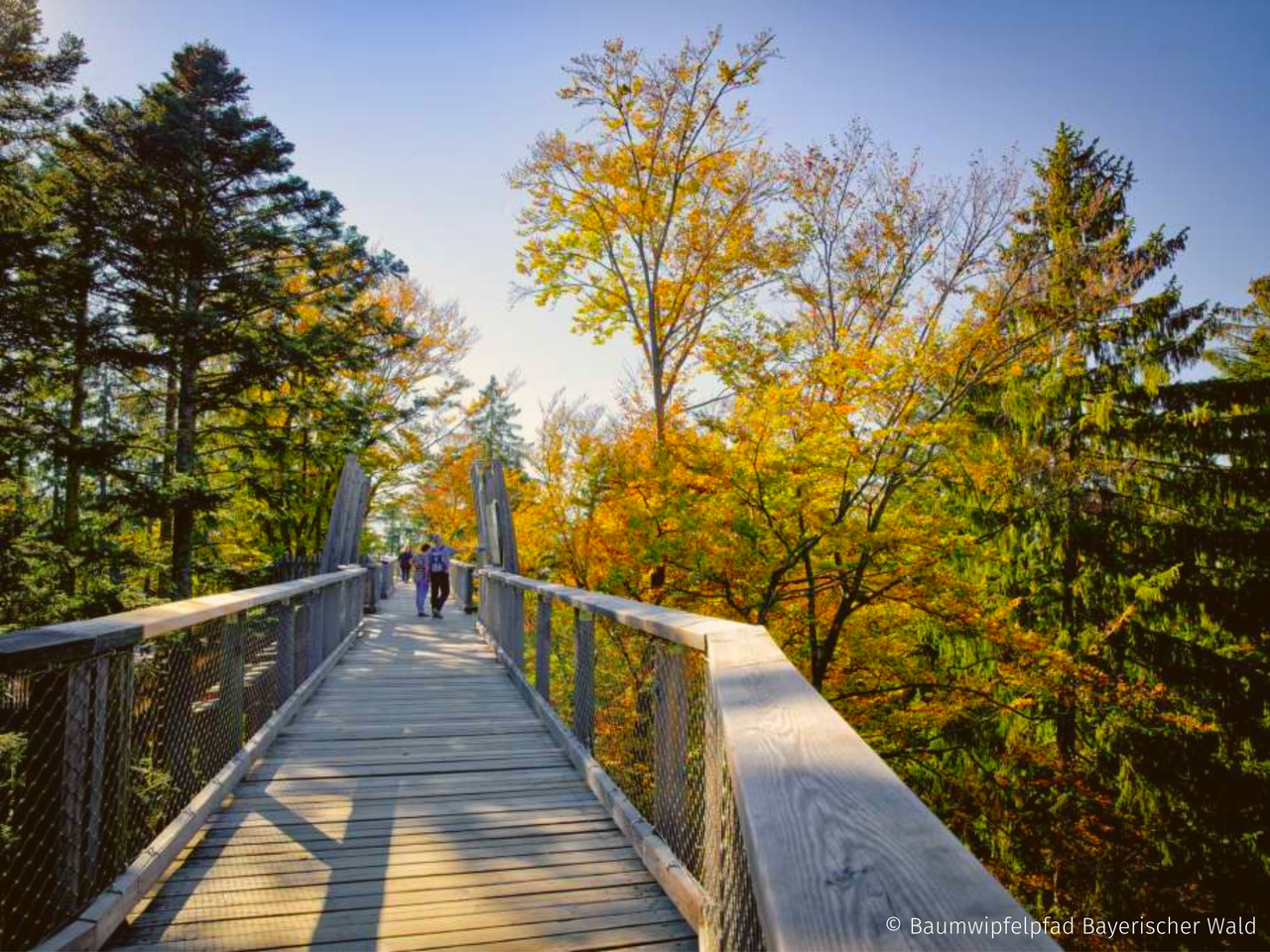 Auszeit im bayerischen Wald - 6 Tage mit Halbpension