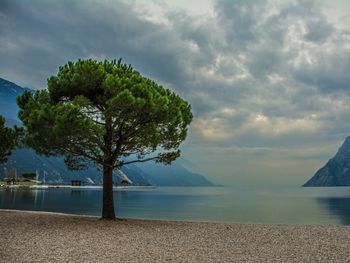 Gardasee-Glück: Entspannung, Bier und Gaumenfreuden