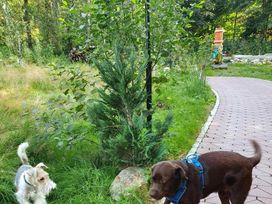 3 Tage Wellness & Romantik