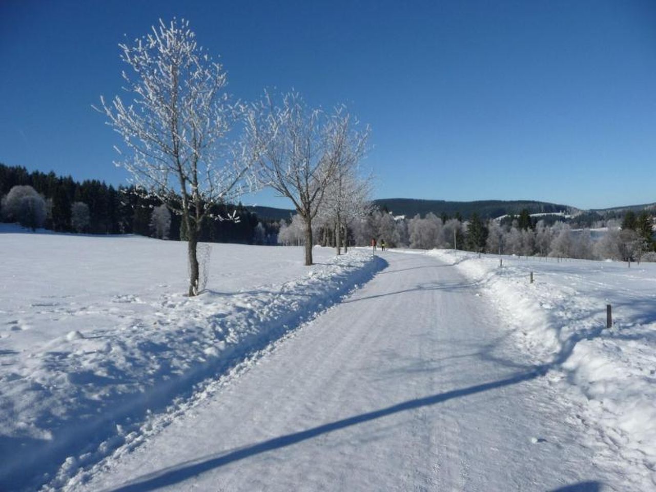 5 Tage Erholung im Bio- und Wellnesshotel Alpenblick