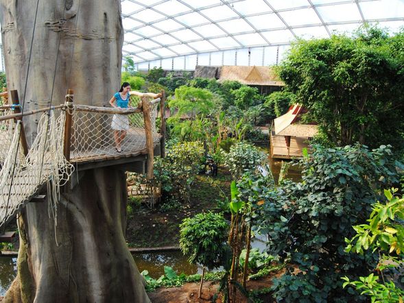 Faszination Gondwanaland im Zoo Leipzig