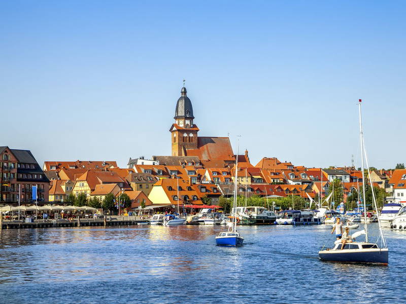 Aloe Vera Tage an der Müritz
