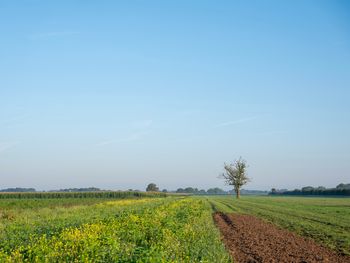 6 Tage Erholungsurlaub im Naturgebiet De Maashorst