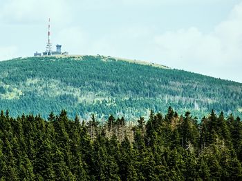 Harz Schnäppchen. Nur noch bis Ende März