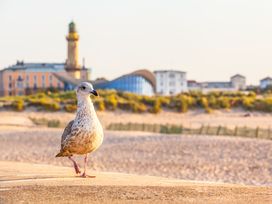 Ostsee-Urlaub in Warnemünde mit Halbpension I 5 Tage