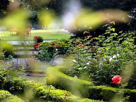 Klostertage im Harz - 3 Tage