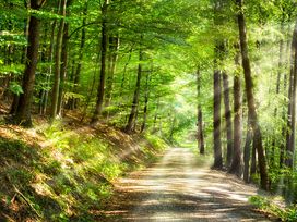 4Tage im Vital & Wellnesshotel Schürger mit HP