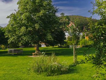 Sommerlaune pur