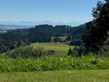 5 Tage Urlaub im Allgäu
