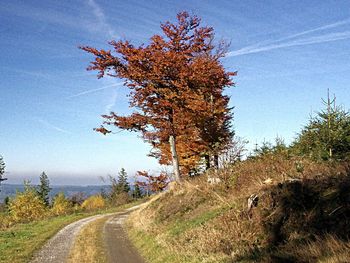 Schönes Wochenende im Hochsauerland mit HP