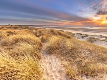 5 Tage Nordseehotel Zeeduin – Dünen,Strand & Erholung