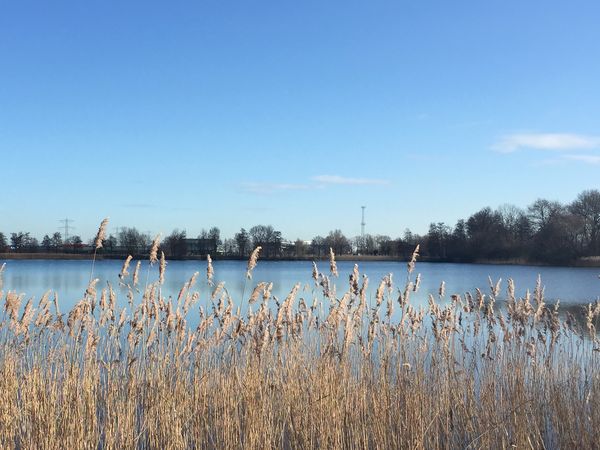 5 Tage City & Natur – Kurzurlaub in Den Bosch in Rosmalen Halbpension