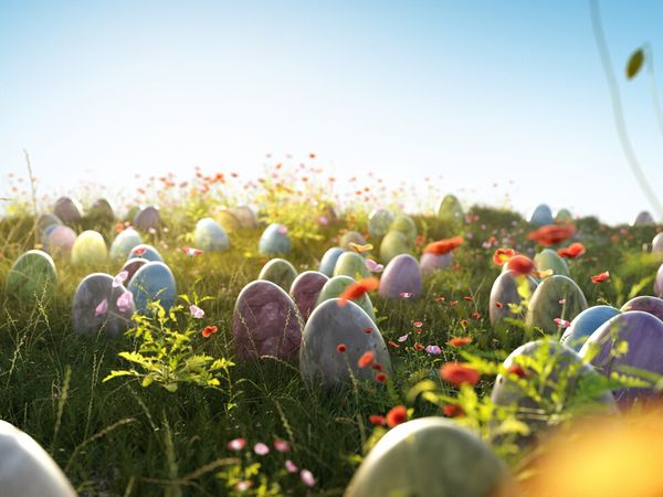 3 Tage Ostermomente in der Natur im bayerischen Wald in Grafenau (Niederbayern), Bayern inkl. Frühstück