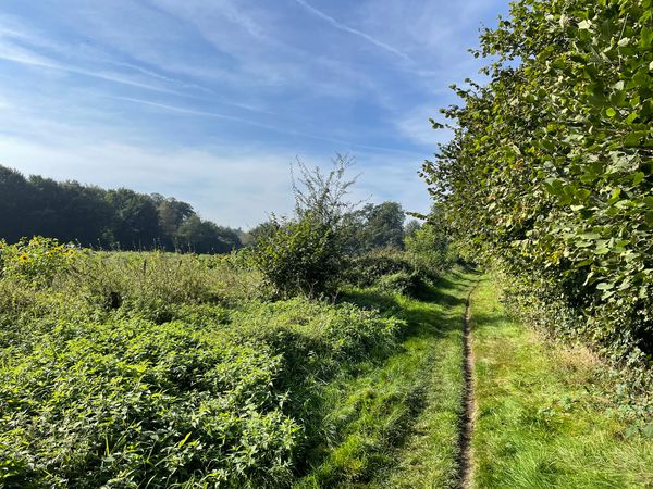 5 Tage Waldgenuss & Ruhe pur im Herzen der Achterhoek in Lochem Halbpension