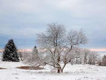 Wintertage im Vogelsberg