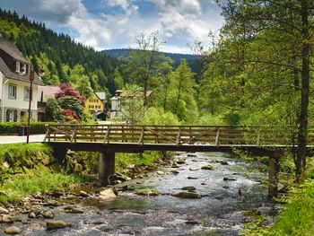 Veganes Schwarzwald-Time-Out-Zeit zum Entschleunigen