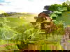 4 Tage zwischen den Weinbergen des Schilcherlandes