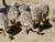 Zoo Schwerin mit Tageseintritt und Übernachtung