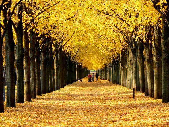 2 Tage im H+ Hotel Hannover mit Frühstück