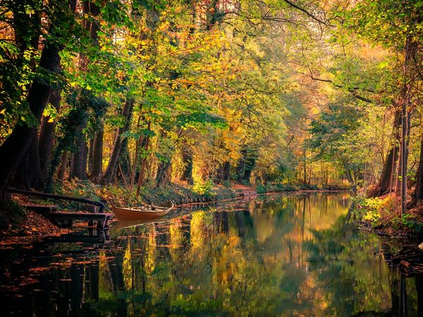 2 Tage Herbstvergnügen im Spreewald in Lübbenau/Spreewald, Brandenburg inkl. Halbpension