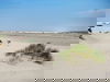 4 Tage Nordseefrische & Design-Ruhe in Ter Heijde