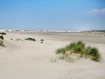 Bild 16 von 17