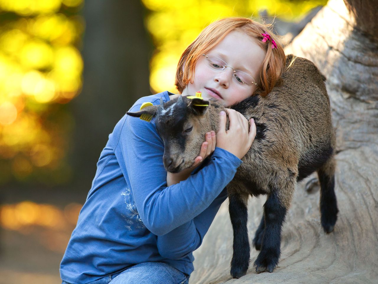 Familien-Kurzurlaub Lüneburger Heide