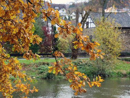 „Herbstzeit ist Wanderzeit“ – 4 Tage das Farbenmeer erleben