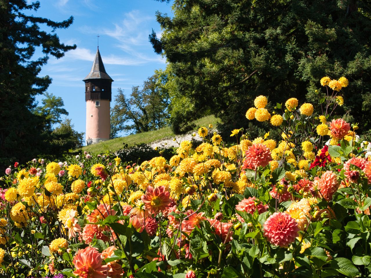 Blumige Farbenpracht-Insel Mainau im Bodensee | 6 T.