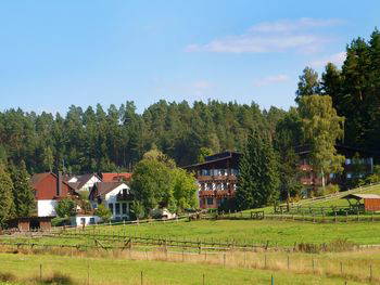 Kuscheltage im Waldhotel