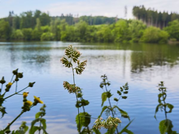 Möhnetal-Wochenende in Warstein Halbpension