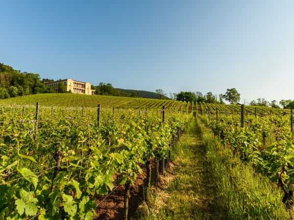 8 Tage - Urlaub am Pfälzer Wald Hotel St. Martiner Castell inkl. Halbpension
