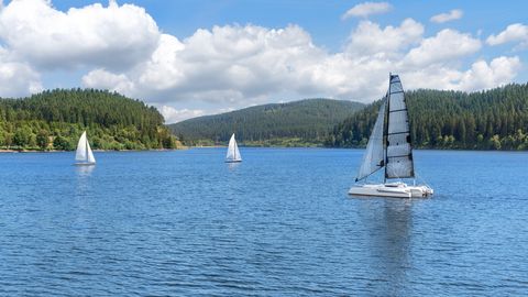 Segeln auf dem Schluchsee