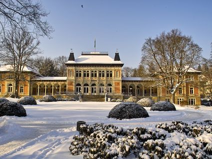 Hotel König Albert