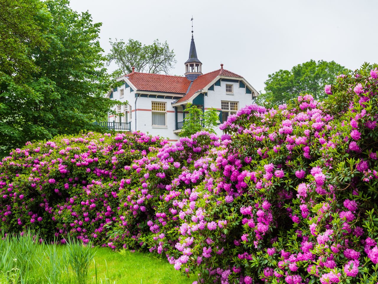 3 Tage Urlaub am schönen Paterswolder See