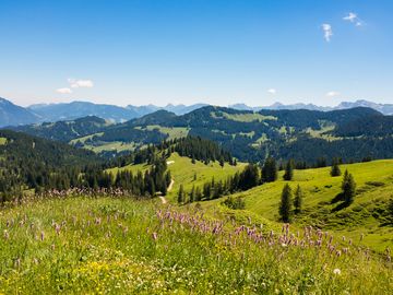 Wunderschöne Landschaft nahe Bodenmais