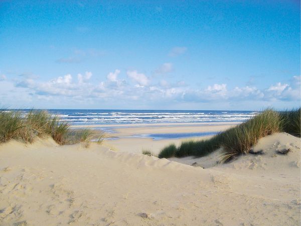 2 Tage Spaß & Erholung auf Juist mit HP in Nordseeinsel Juist, Niedersachsen inkl. Halbpension