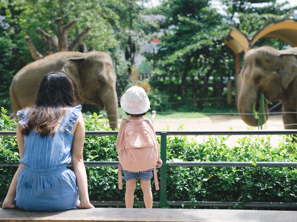 2 Tage Ausflug in den Wuppertaler Zoo, Nordrhein-Westfalen inkl. Frühstück