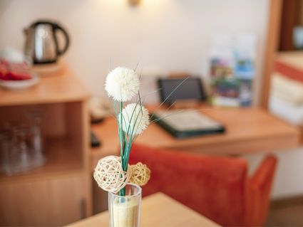 Hotel Waldesblick