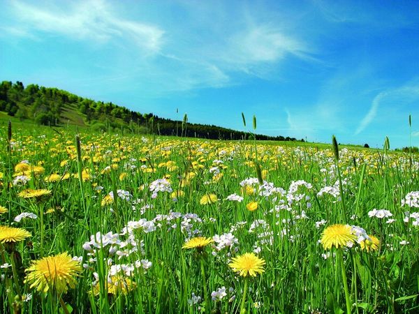 Willinger Wochenende in Willingen (Upland) Frühstück