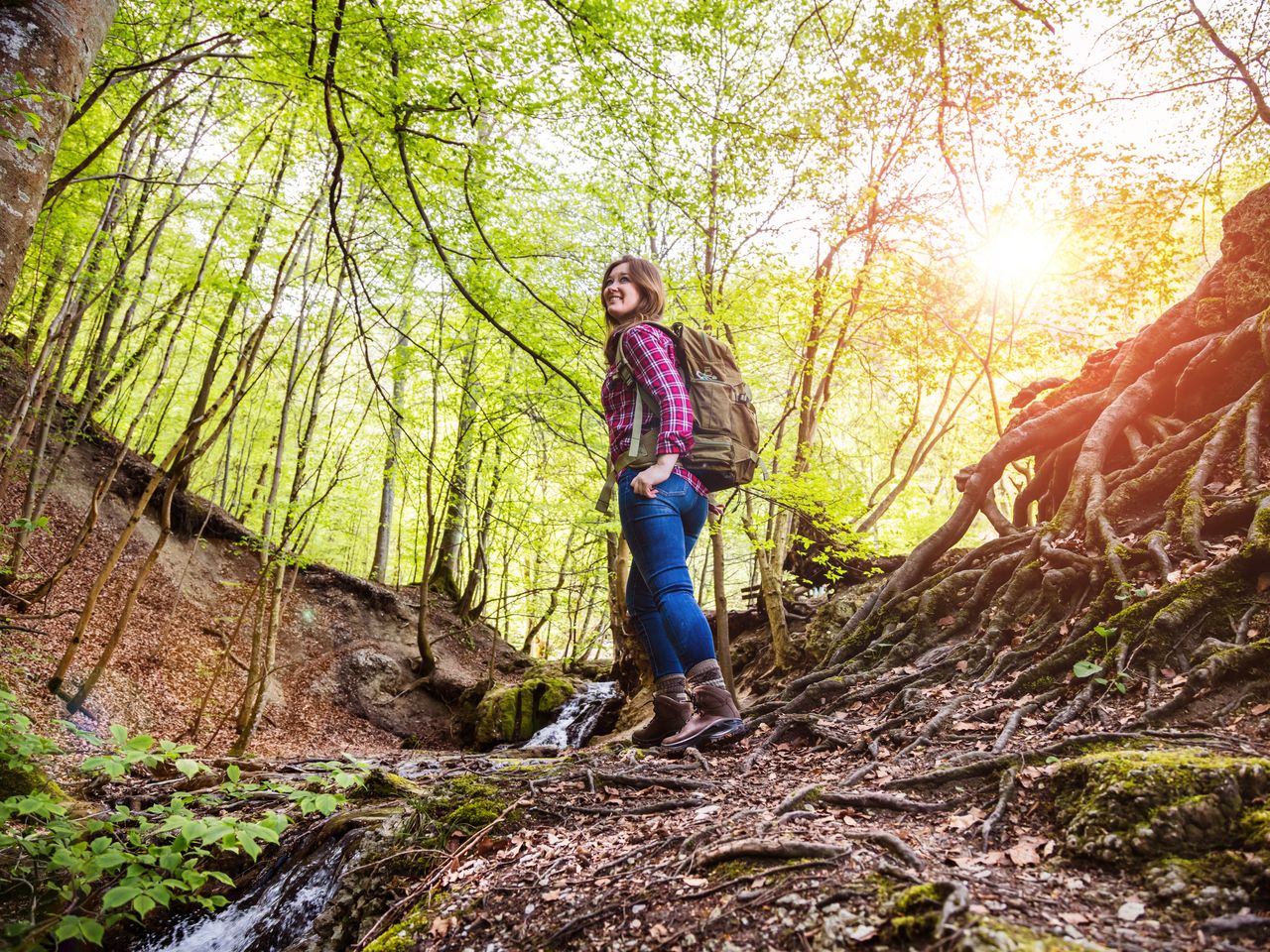 Perpedes im Taunus - Wandern am Limes inkl. HP | 4 Tg